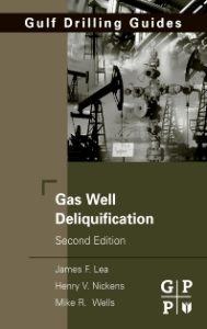 Gas Well Deliquification 2nd Edition PDF Free Download
